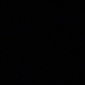 Meet your Posher, Pat